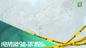 «Сначала течем, потом зеленеем». Жителей многоэтажки на Курчатова годами топит из-за дырявой крыши
