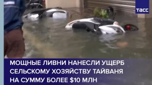 Мощные ливни нанесли ущерб сельскому хозяйству Тайваня на сумму более $10 млн