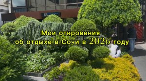 Шок! Почему мы сократили отдых. Вся правда о Сочи в 2026 году.