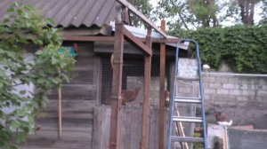 Строительство вольера для кур, второй день