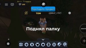 Роблокс кот