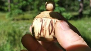 Шкатулка в июньском лесу на дубе