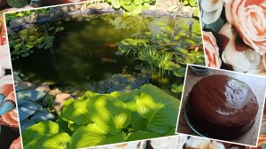 25-28.06 Почистили водоём.Доделали дорожку... Спекли торт для именинника 🎉🎈🫶