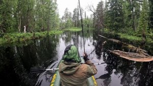 РЕШИЛ ИСПЫТАТЬ РЫБАЦКУЮ УДАЧУ НА ТАЁЖНОЙ РЕКЕ. СПЛАВ РЫБАЛКА НА РЕКЕ