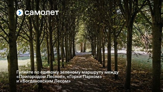 Горки Парк