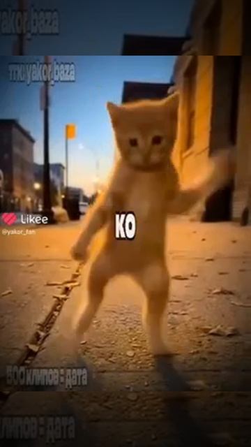 1000034686.mp4 смотреть онлайн