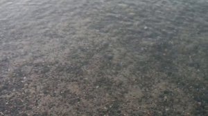 Тамань море на закате