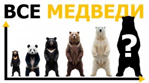 Все виды МЕДВЕДЕЙ: Кто самый ОПАСНЫЙ МЕДВЕДЬ?