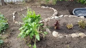 МУЖ РАСПАХАЛ ЦЕЛИНУ, ДЕЛАЕМ КЛУМБЫ, ПОСТАВИЛИ ПРУДИК. .