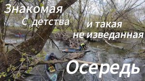 SUP-сплав по Осереди май 2026. Заторы, завалы, купания.