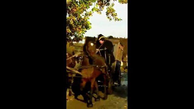 проект под прицелом Самогон
