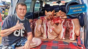 ‼️ Забой свиней больше 800 кг мясом‼️ Бьём рекорды‼️