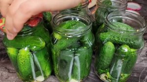 ПРОСТО ЗАЛИВАЮ КИПЯТКОМ. Закрываю по 50 банок и мало! Зимой огурцы не покупаю! Хрустящие ОГУРЦЫ