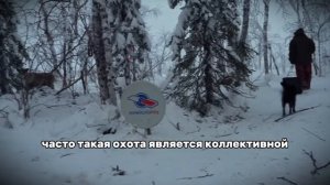 Как Чукчи добывают еду среди снега и льда?