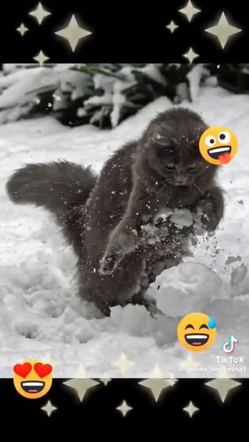 Вот и вторник! Доброе утро!