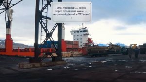 ездовые собаки Полярной Звёзды на шпицбергене