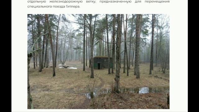 Пенсионеры в России - это норма или уникумы? 2026-06-20