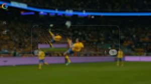 Google - The Most Searched Sport (2026)