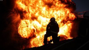Страна 404.Кременчуг.Работа наших специалистов по хрювропейцам.