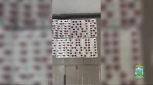Попытка контрабанды сильнодействующего вещества в Россию из Эстонии расследуется в Псковской области
