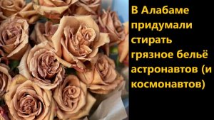 В Алабаме придумали стирать грязное бельё астронавтов (и космонавтов)