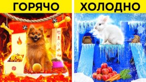 Огненная собака vs ледяной кролик 😱 строим домики и преображение