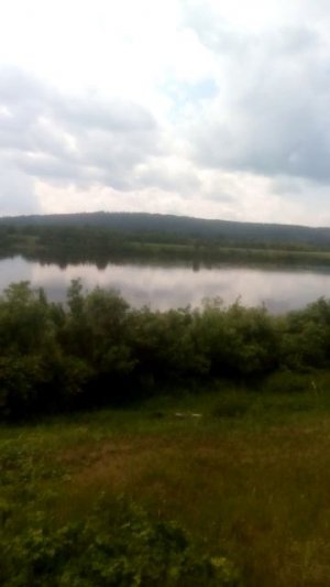 Природа на берегу реки