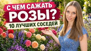 Идеальные КОМПАНЬОНЫ ДЛЯ РОЗ: с чем посадить королеву сада?