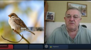 «Доверчивый воробей». Несёт несусветное
