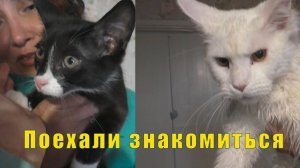 ПРИВЕЗЛА КРАСОТУ ОТ КАТЮШИ/ ПОЕХАЛИ ЗНАКОМИТЬСЯ С ФЕДЕЙ/  22 и 23 июня 2026