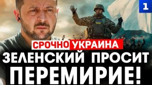 Зеленский просит перемирие!