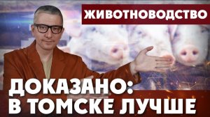 Томск сделал…Испанию! | ДОКАЗАНО: В ТОМСКЕ ЛУЧШЕ