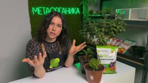 Делаем ЭТИ ТЕПЛИЦЫ у себя дома ПРОСТО