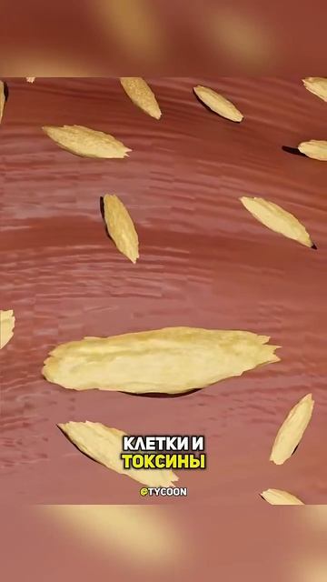 2026-06-29 смотреть онлайн