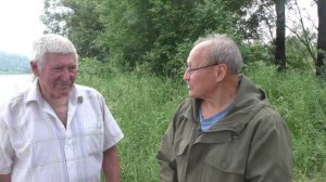 Разговор о собаках и медведях