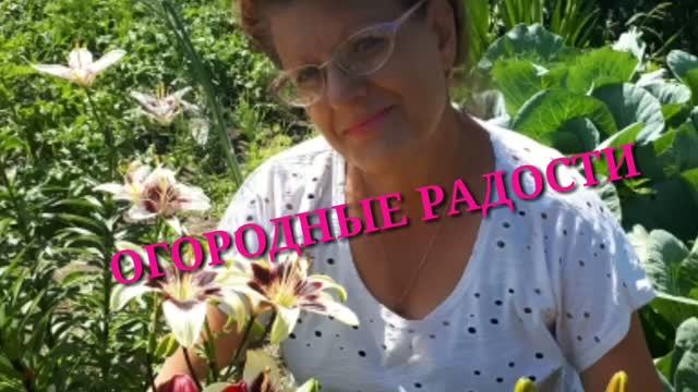 2520. Пионы,уход во время цветения. ВПЛ.