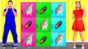 Челлендж Загадочная Коробка на Хэллоуин # Смешные Моменты от DuKoDu Challenge