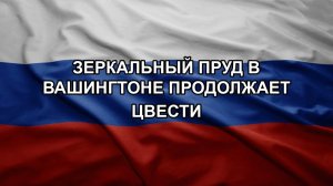 Зеркальный пруд в Вашингтоне продолжает цвести