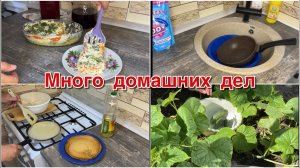 Много домашних дел