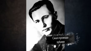 Сжал провода зубами- Бессмертный подвиг 19-летнего связиста в Сталинграде