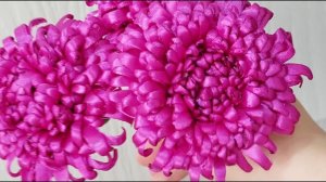Хризантемы из атласной  ленты