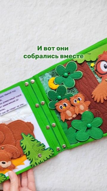 Фетровая книга 