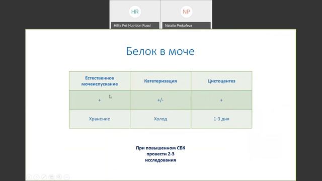 Вебинар №11 школы НЕФРОУРОВЕТ: "Клинический анализ мочи". Лектор - Наталия Прокофьева. смотреть онлайн