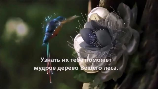 Волшебные правила. Это правила изменят твою жизнь. смотреть онлайн
