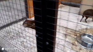 Приехали в ростовский зоопарк.