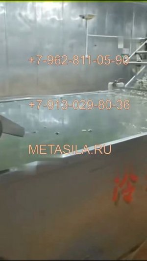 Линия очистки перепелиных яиц L02