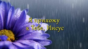 Я прихожу к Тебе, Иисус  /  Невская Христианская Миссия