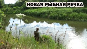 Рыбалка на новой  особо рыбной малой речке впроводку и поиск мест
