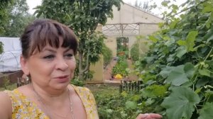 Обрабатываю и спасаю сад. Пересаживаю розы. Отвечаю на вопросы.