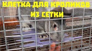 Клетка для кроликов из сетки